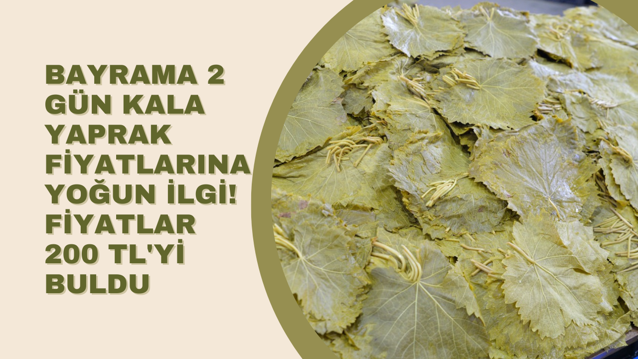 Bayrama 2 Gün Kala Yaprak Fiyatlarına Yoğun İlgi! Fiyatlar 200 TL'yi Buldu