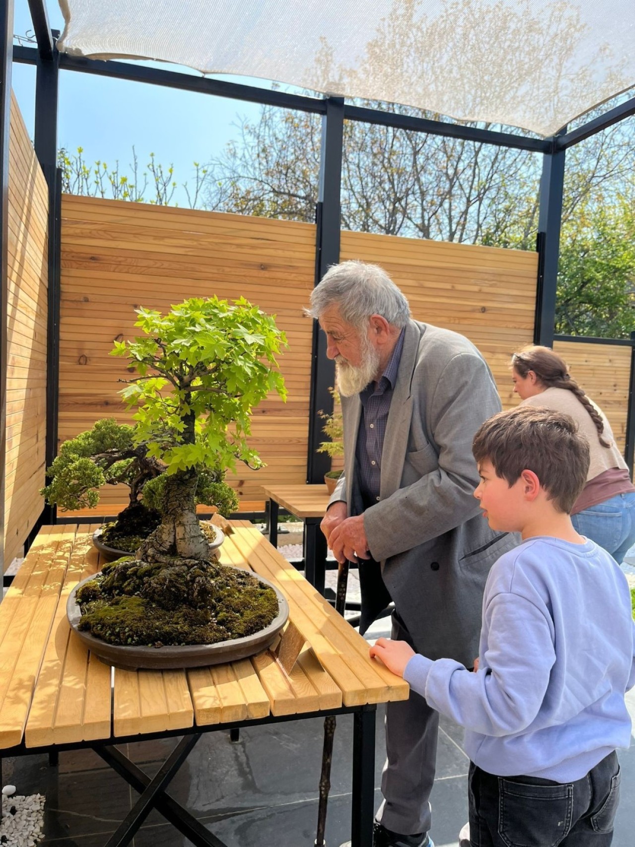 Türkiye'nin İlk Bonsai Müzesi Bayramda Ziyaretçi Akınına Uğradı!