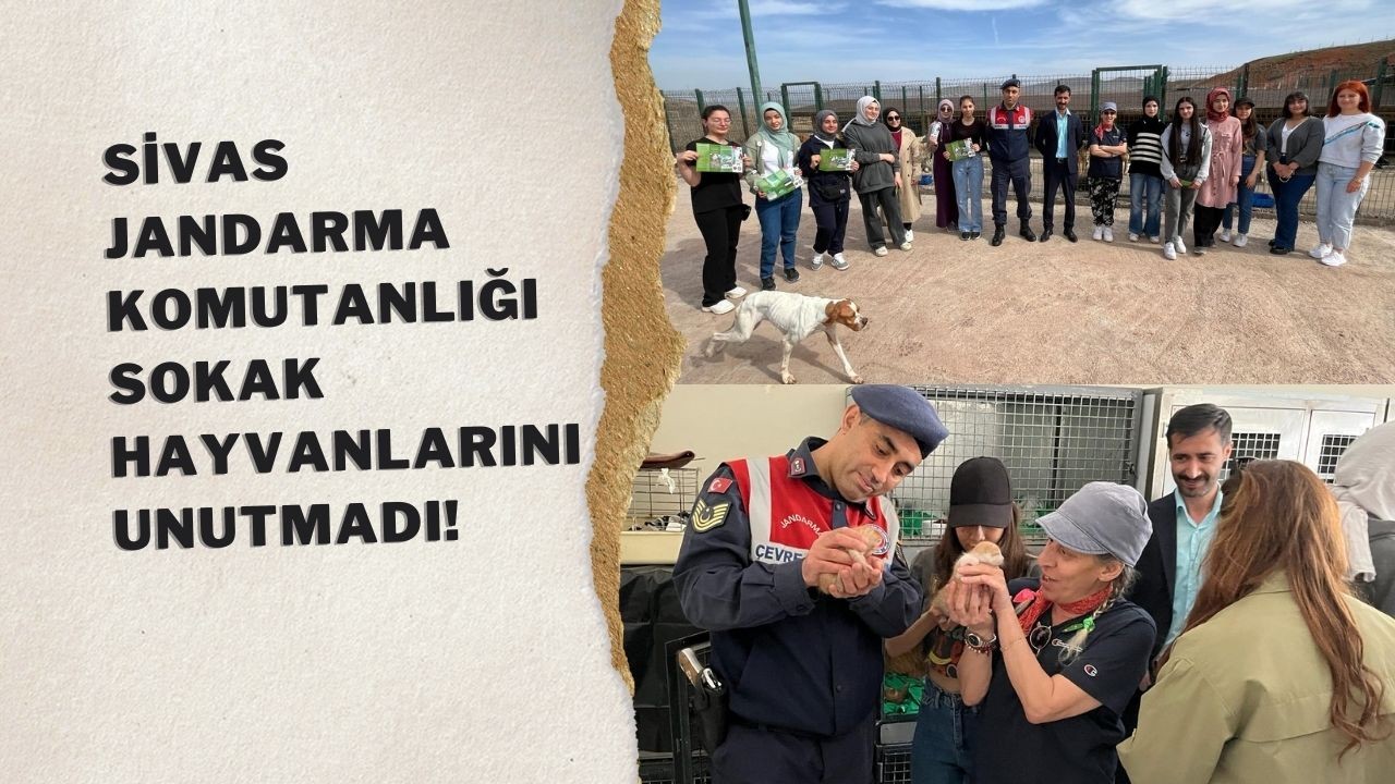 Sivas Jandarma Komutanlığı Sokak Hayvanlarını Unutmadı!