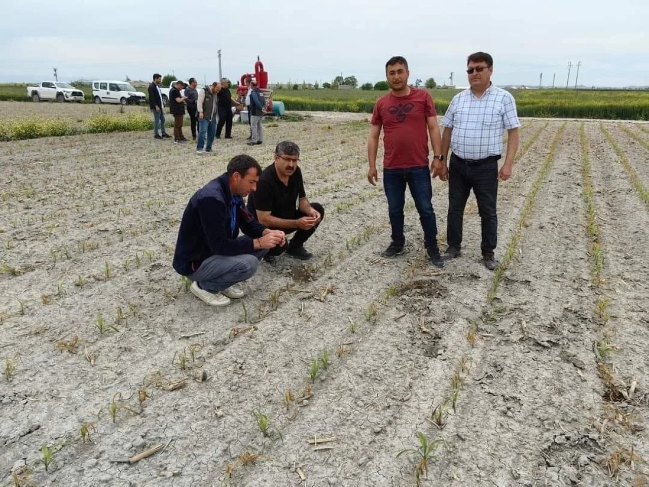 Konya'da Dolu ve Düşük Sıcaklıktan Etkilenen Tarım Alanlarında İncelemeler Devam Ediyor