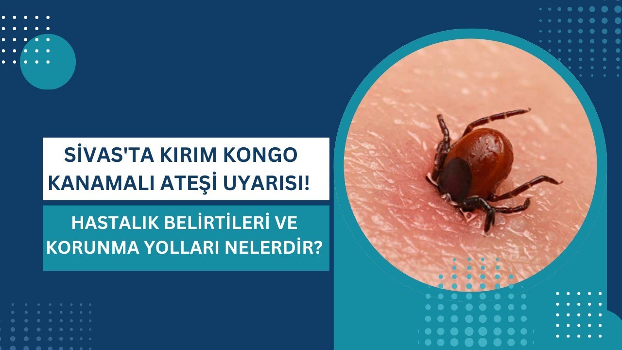 Sivas'ta Kırım Kongo Kanamalı Ateşi Uyarısı! Hastalık Belirtileri ve Korunma Yolları Nelerdir?