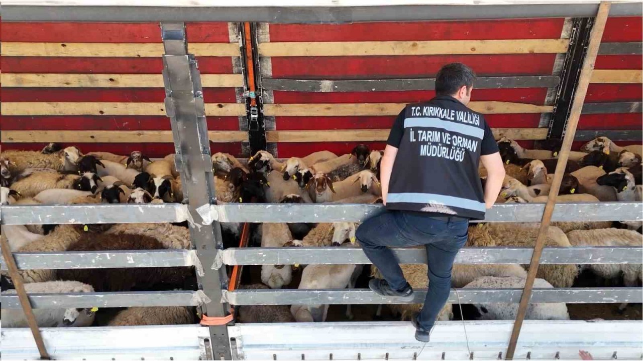 43 İlin Geçiş Güzergahında Tırlar Tek Tek Durduruldu: Kurban Sevkiyatları Denetim Yapılıyor