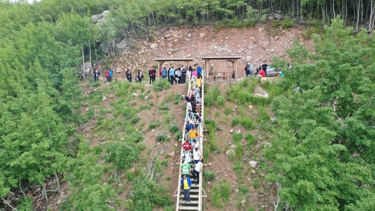 Doğaseverlerin Gözdesi Ortaseki Ormanları: Şehrin Gürültüsünden Uzakta Bir Doğa Cenneti