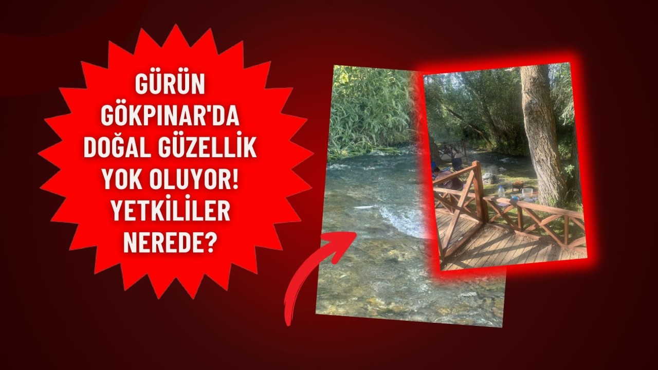 Gürün Gökpınar'da Doğal Güzellik Yok Oluyor! Yetkililer Nerede?