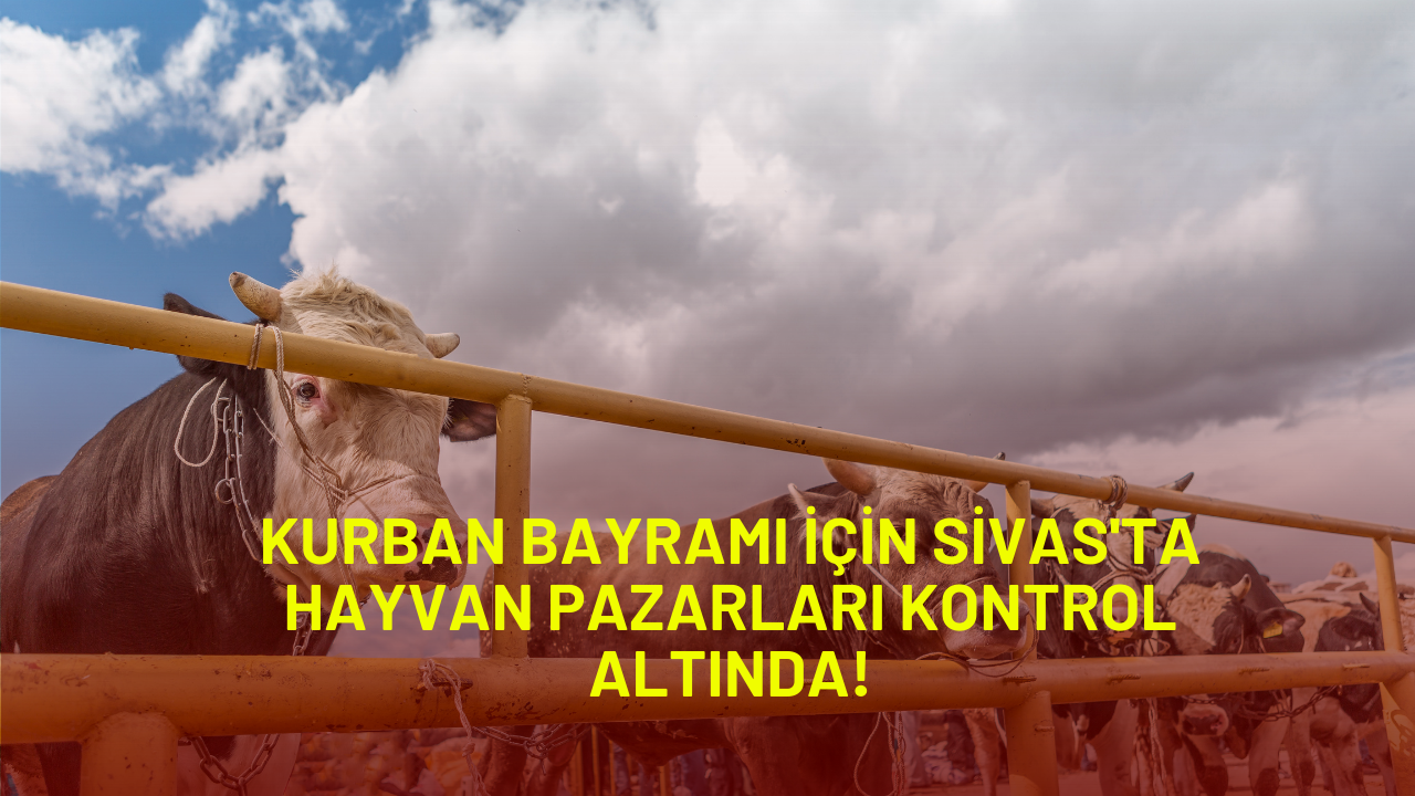 Kurban Bayramı İçin Sivas'ta Hayvan Pazarları Kontrol Altında!