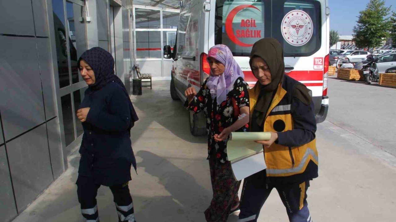 Konya'da Sokak Köpeği Saldırısı: Kadın Yaralandı