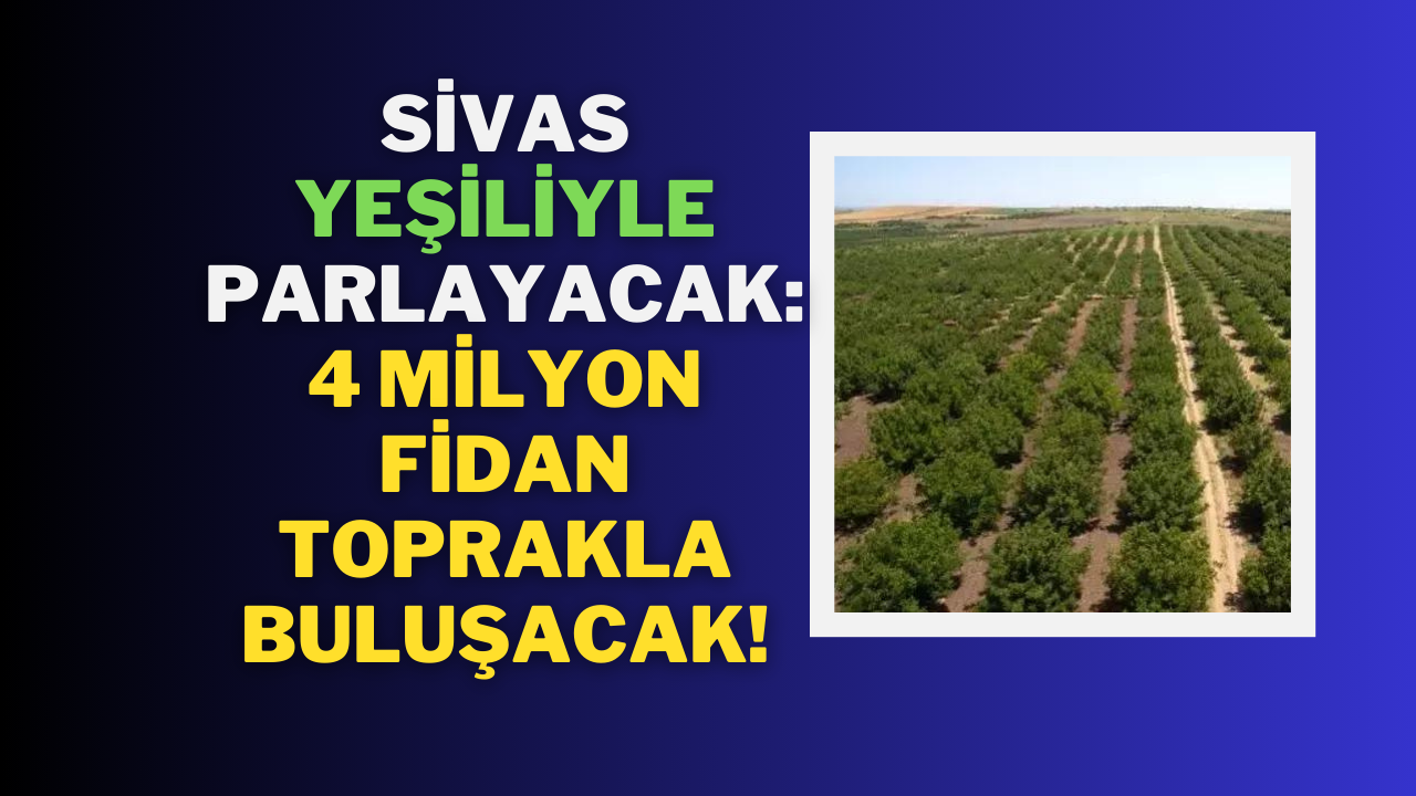Sivas Yeşiliyle Parlayacak: 4 Milyon Fidan Toprakla Buluşacak!