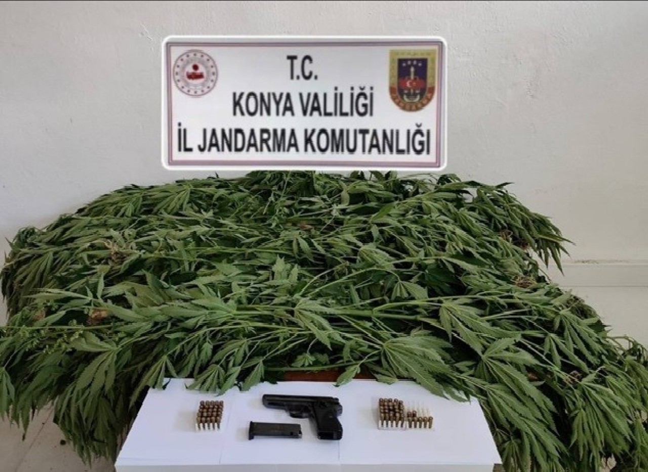 Jandarma Uyuşturucu Operasyonlarında Çok Sayıda Kenevir ve Silah Ele Geçirdi