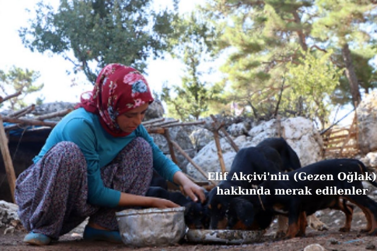 Elif Akçivi'nin (Gezen Oğlak) Yaşı,  Eğitimi ve Kişisel Hayatıyla İlgili Merak Edilenler