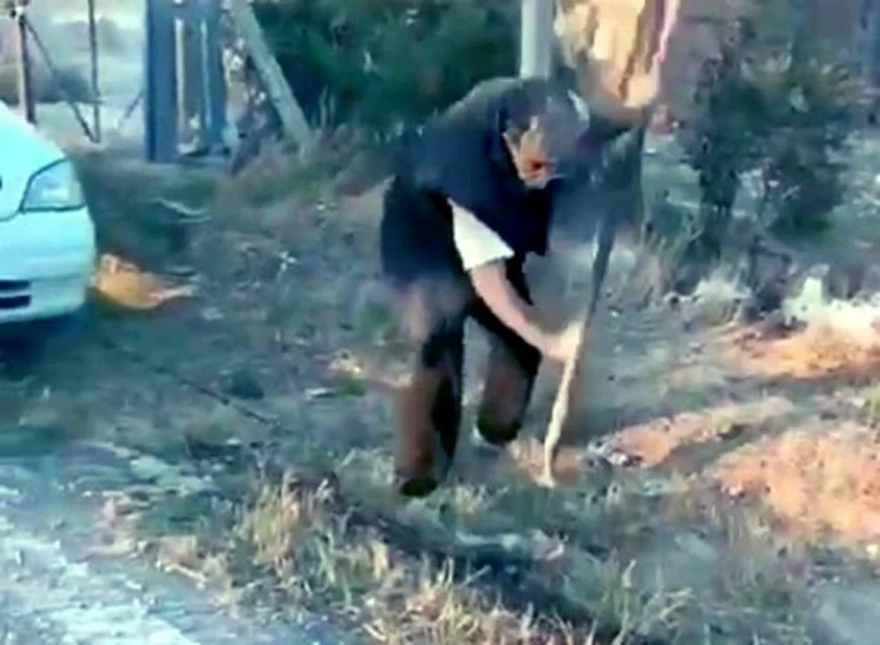 Ankara’da Yavru Köpeğe Vahşi Saldırı