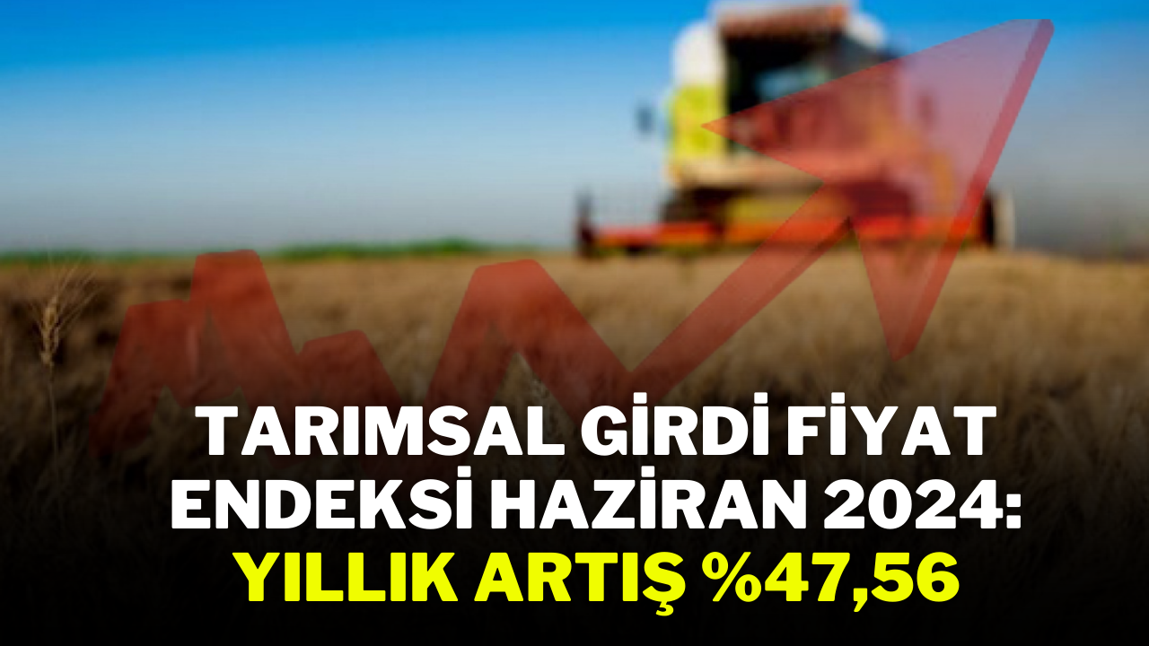 Tarımsal Girdi Fiyat Endeksi Haziran 2024: Yıllık Artış %47, 56