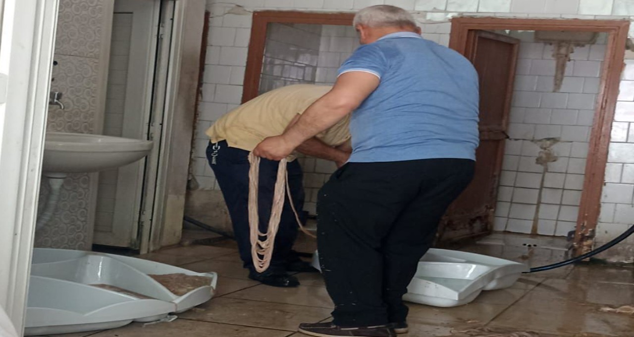 Adana'da Umumi Tuvalette Bağırsak Temizleme Görüntüleri Tepki Çekti
