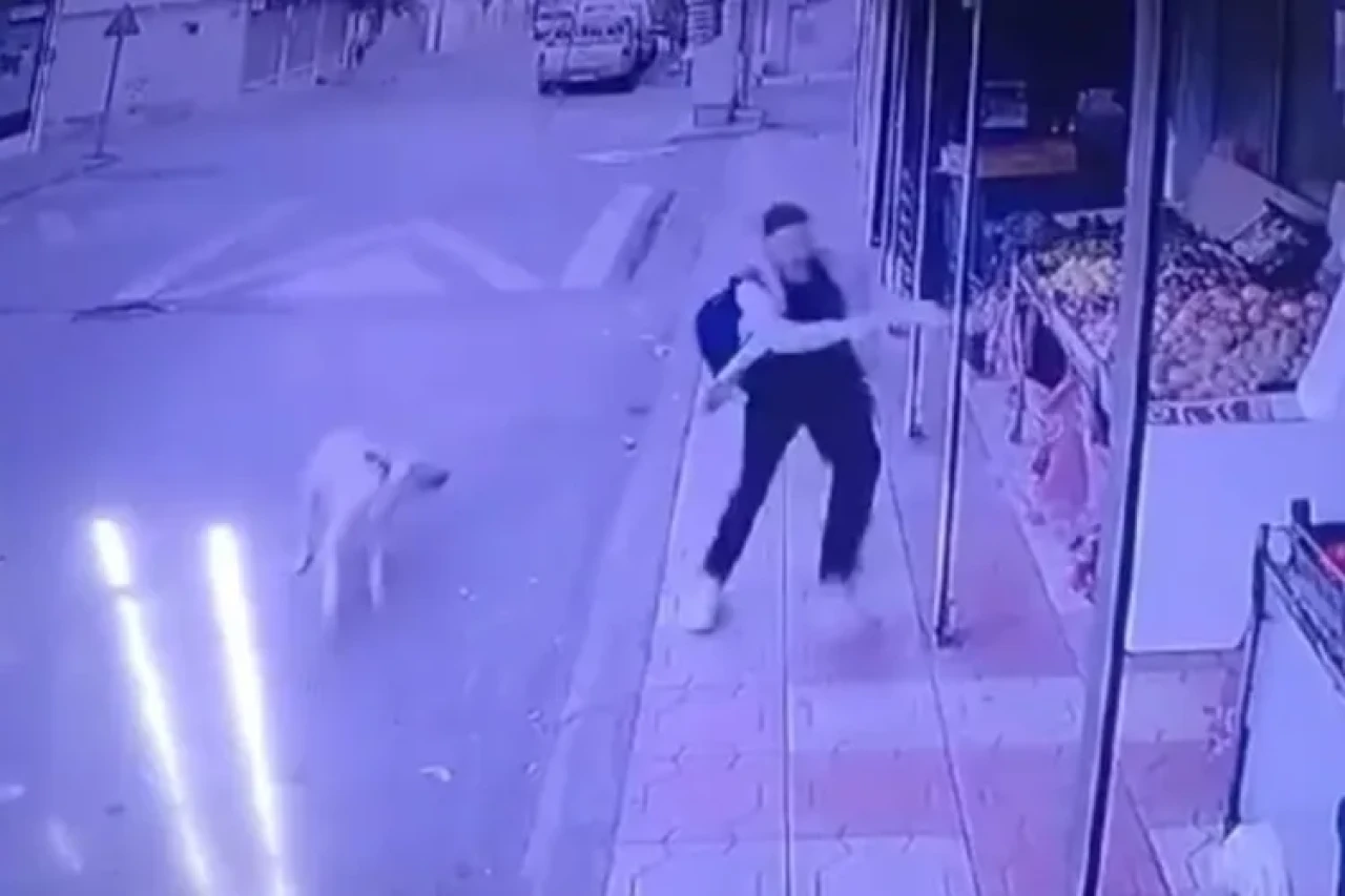 Kahramanmaraş’ta Sokak Köpeği Saldırısına Uğrayan Genç Kız Marketten Kurtuldu