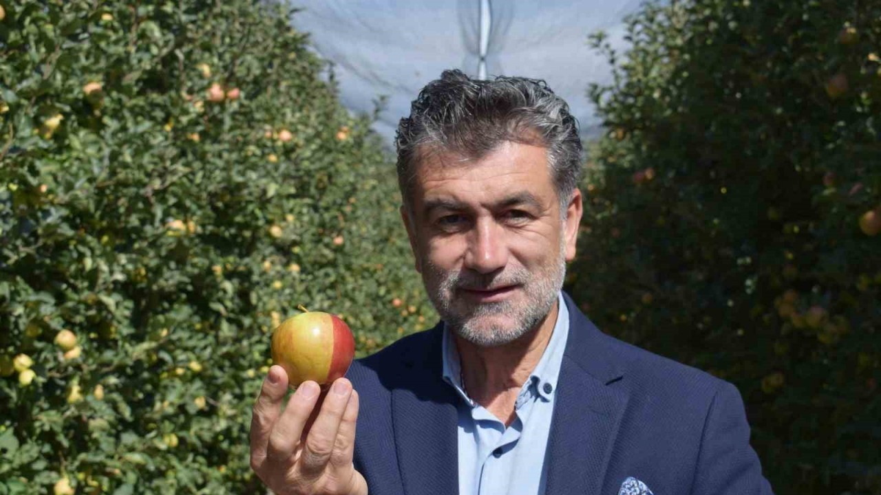 Karaman'da Çift Renkli Elma Görenleri Hayrete Düşürüyor