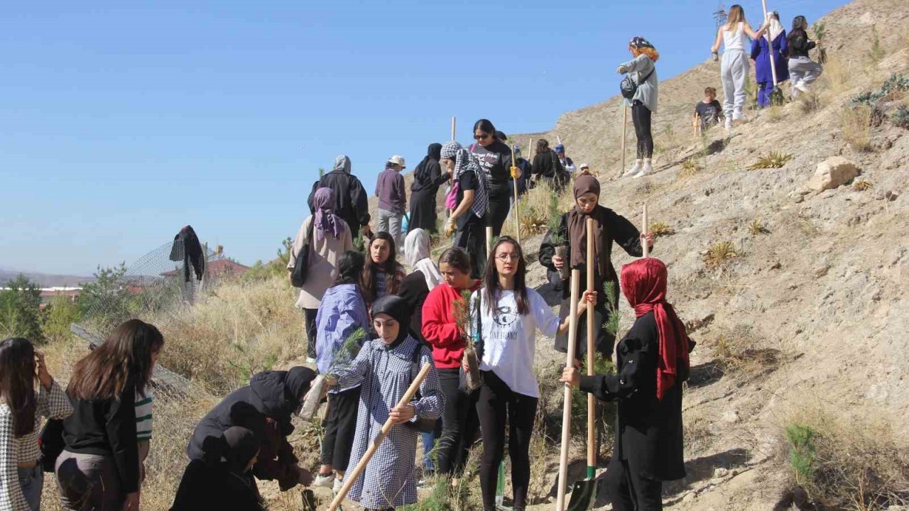 Sivas'ta Uluslararası  Ağaçlandırma Seferberliği
