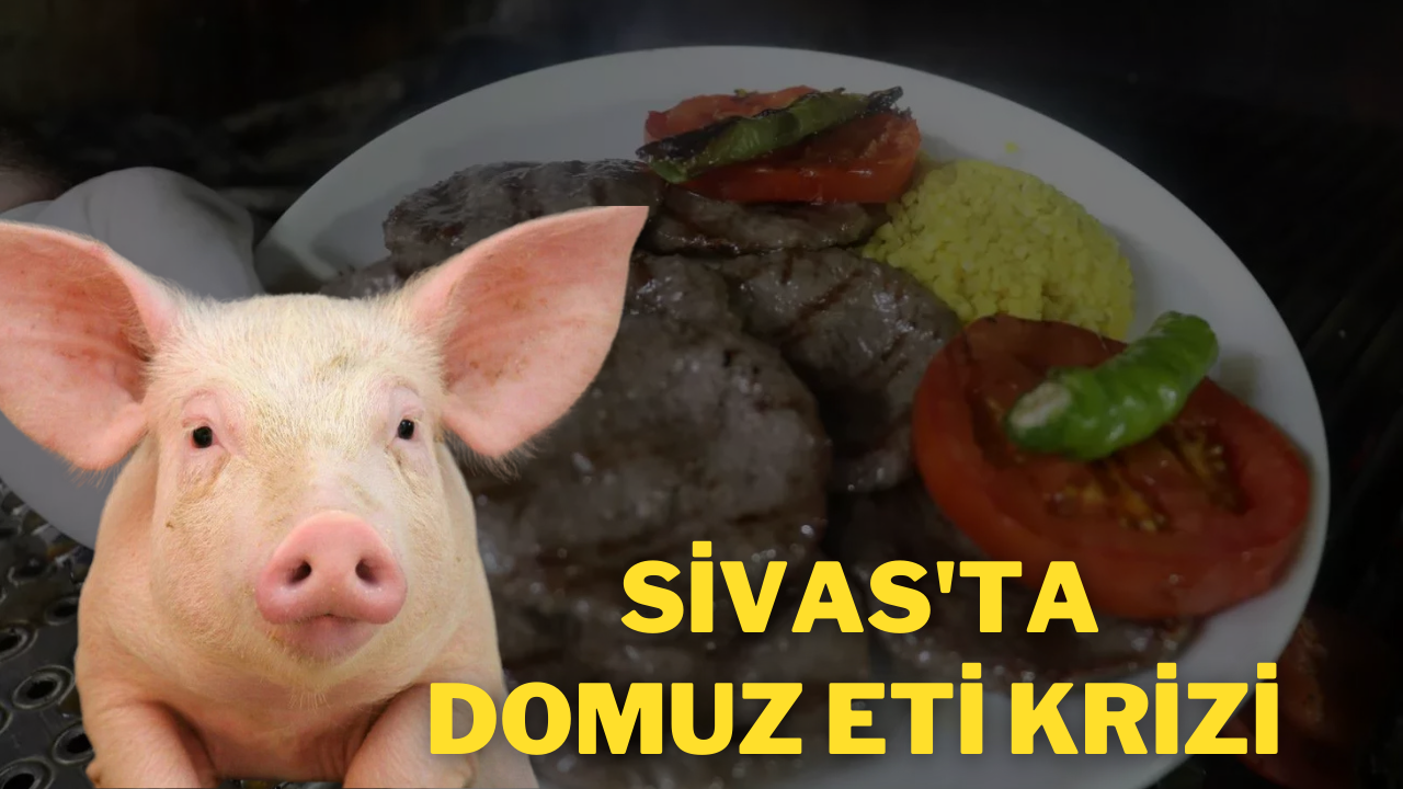 Sivas'ta Domuz Eti Krizi:İddialar Paniğe Neden Oldu