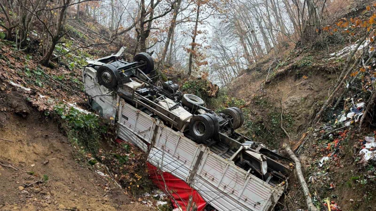 Bursa’da Sebze Yüklü Kamyon Ormana Yuvarlandı
