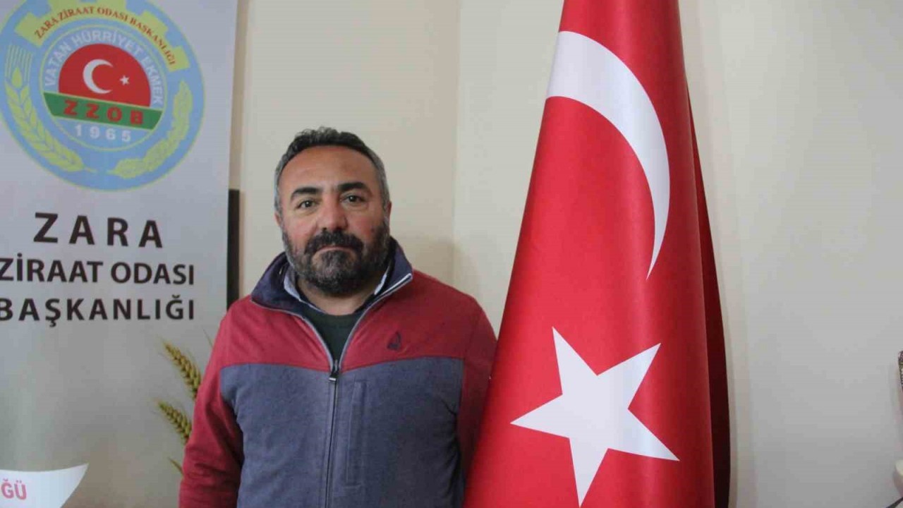 Sivas'ta Ayı Saldırısı: Ayı Telef Edildi