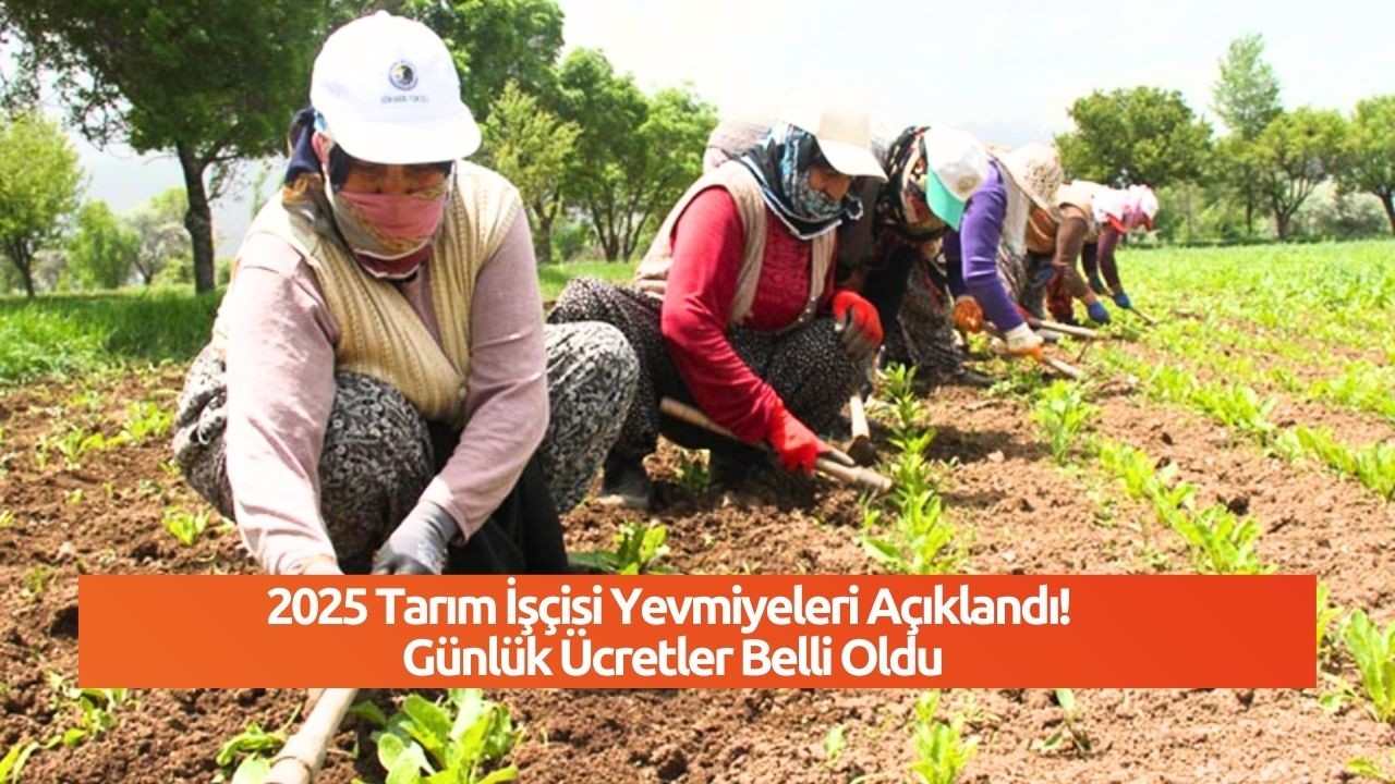 2025 Tarım İşçisi Yevmiyeleri Açıklandı! Günlük Ücretler Belli Oldu