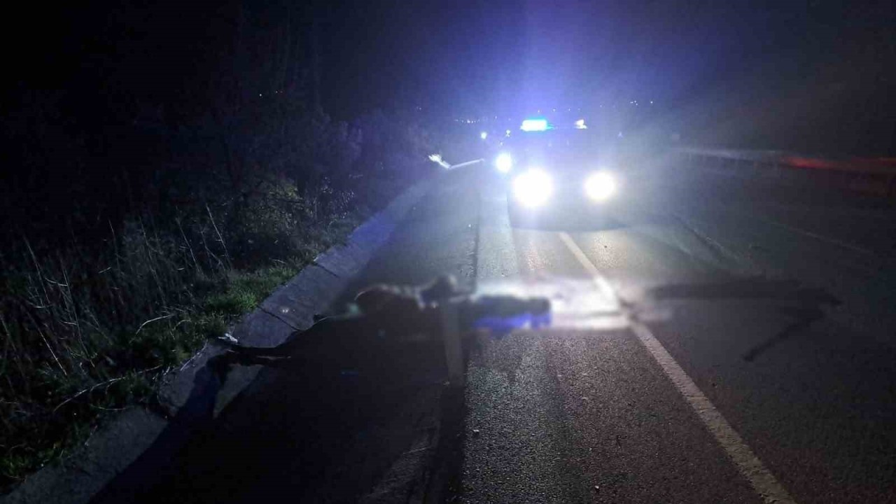 Aydın’ın Söke İlçesinde Motosiklet Kazası: Genç Hayatını Kaybetti