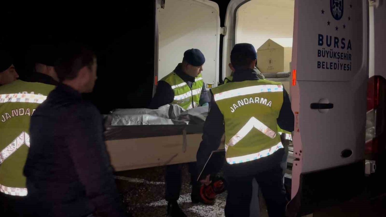 Bursa İznik’te Kayıp 18 Yaşındaki Genç Ormanlık Alanda Ölü Bulundu
