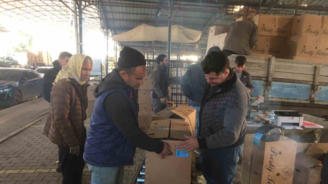 Sarıgöl'de 2024 Yılı Tütün Alım Fiyatı 180 TL Olarak Belirlendi
