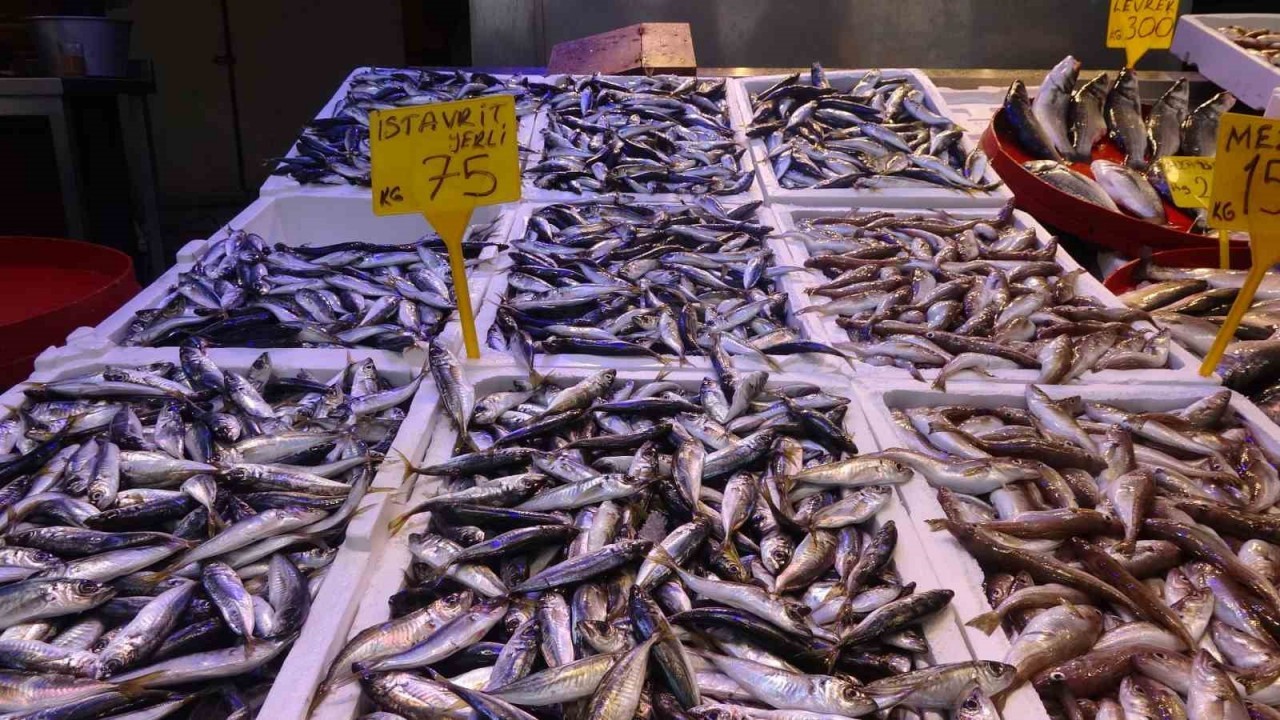 Karadeniz Balıkçılarından Av Yasağı