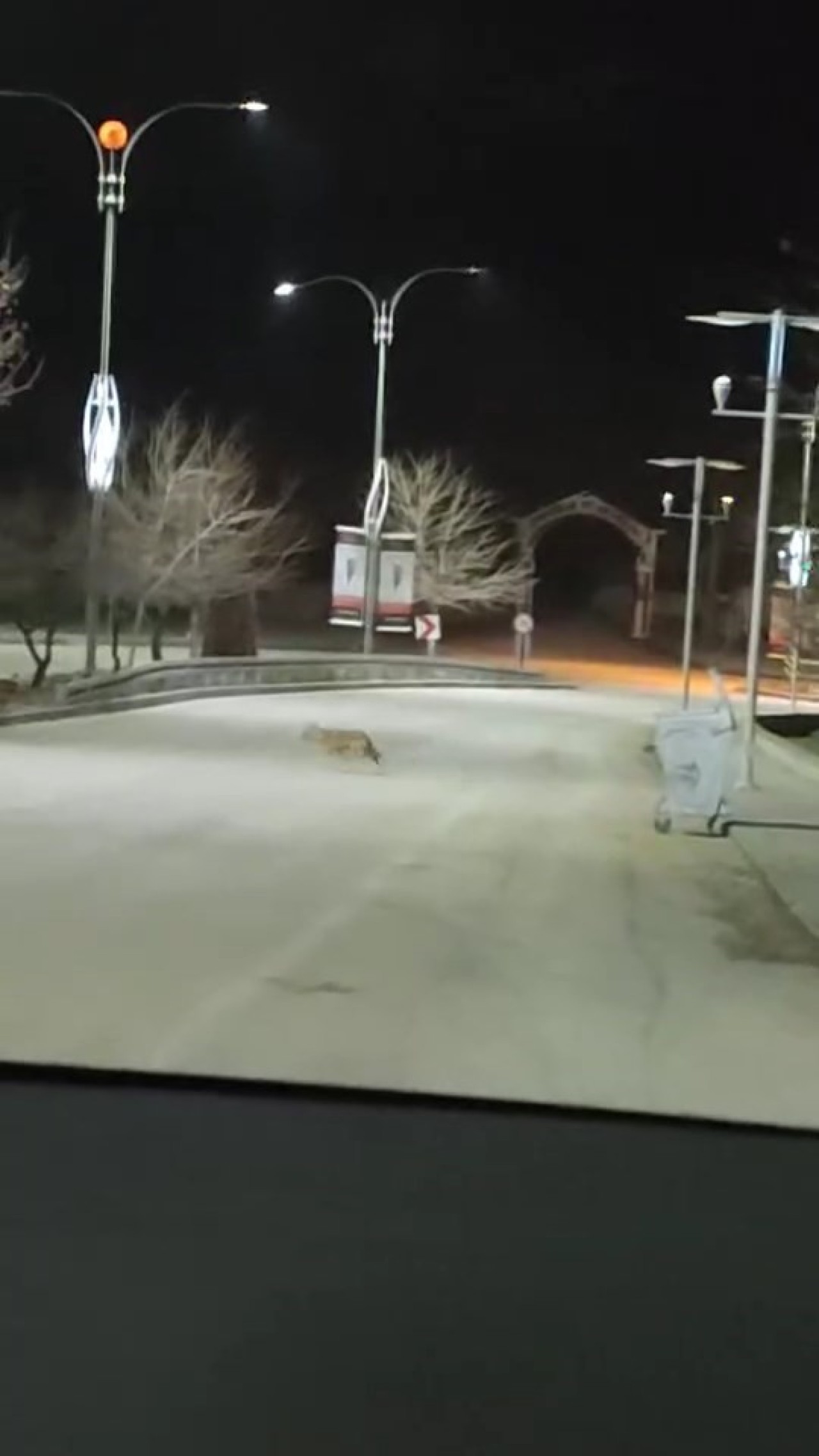 Kurt Sürüsü, Harput’ta Kameralara Yansıdı
