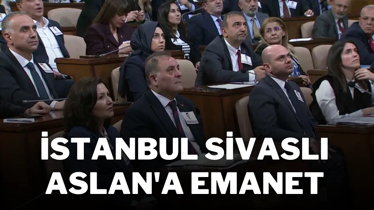 İstanbul Sivaslı Aslan'a Emanet
