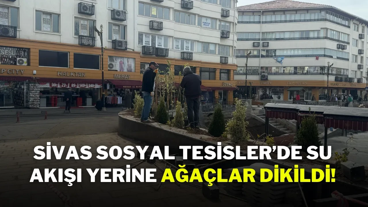 Sivas Sosyal Tesisler’de Su Akışı Yerine Ağaçlar Dikildi!