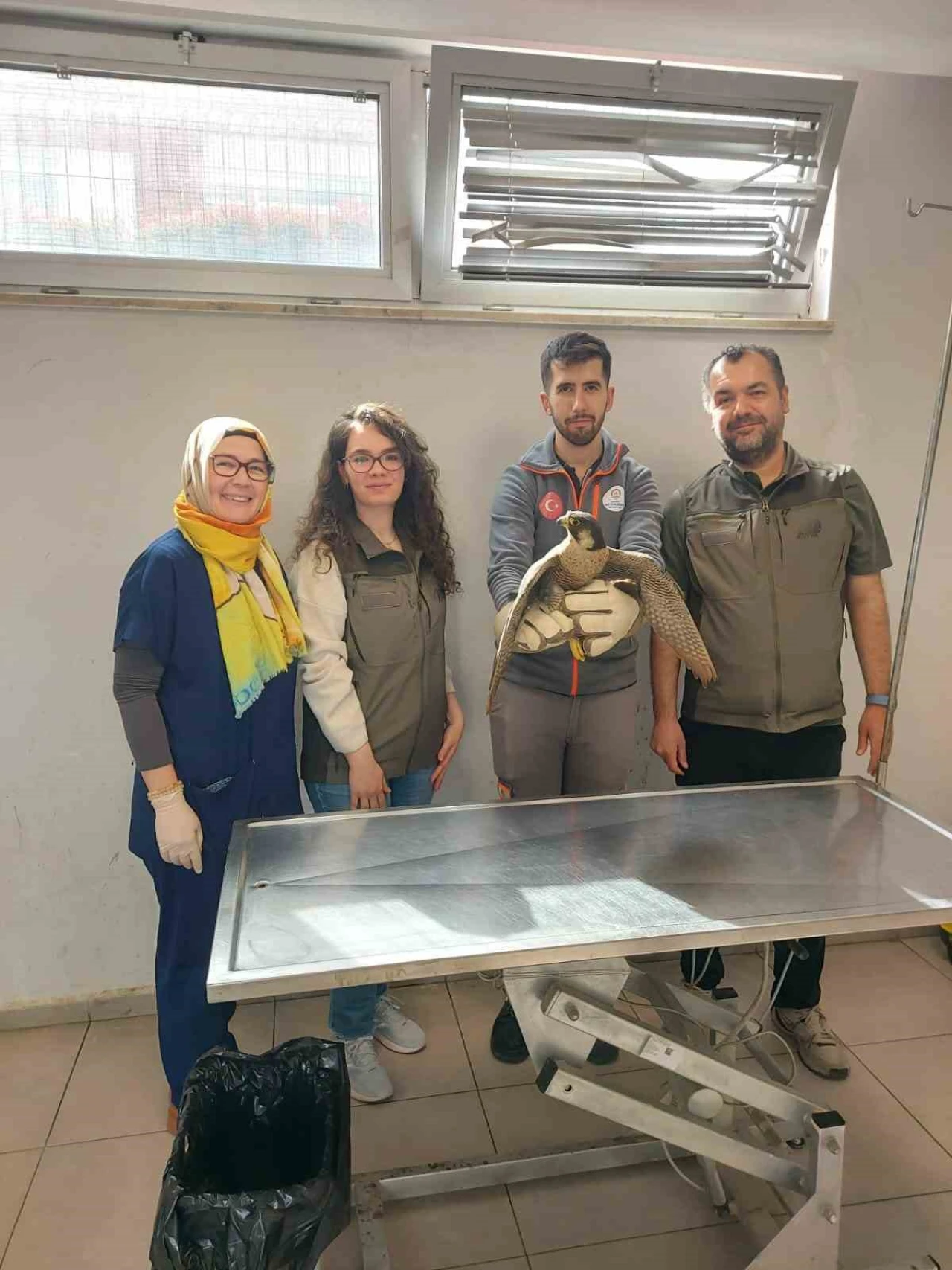 Yaralı Akdoğan Doğaya Döndü
