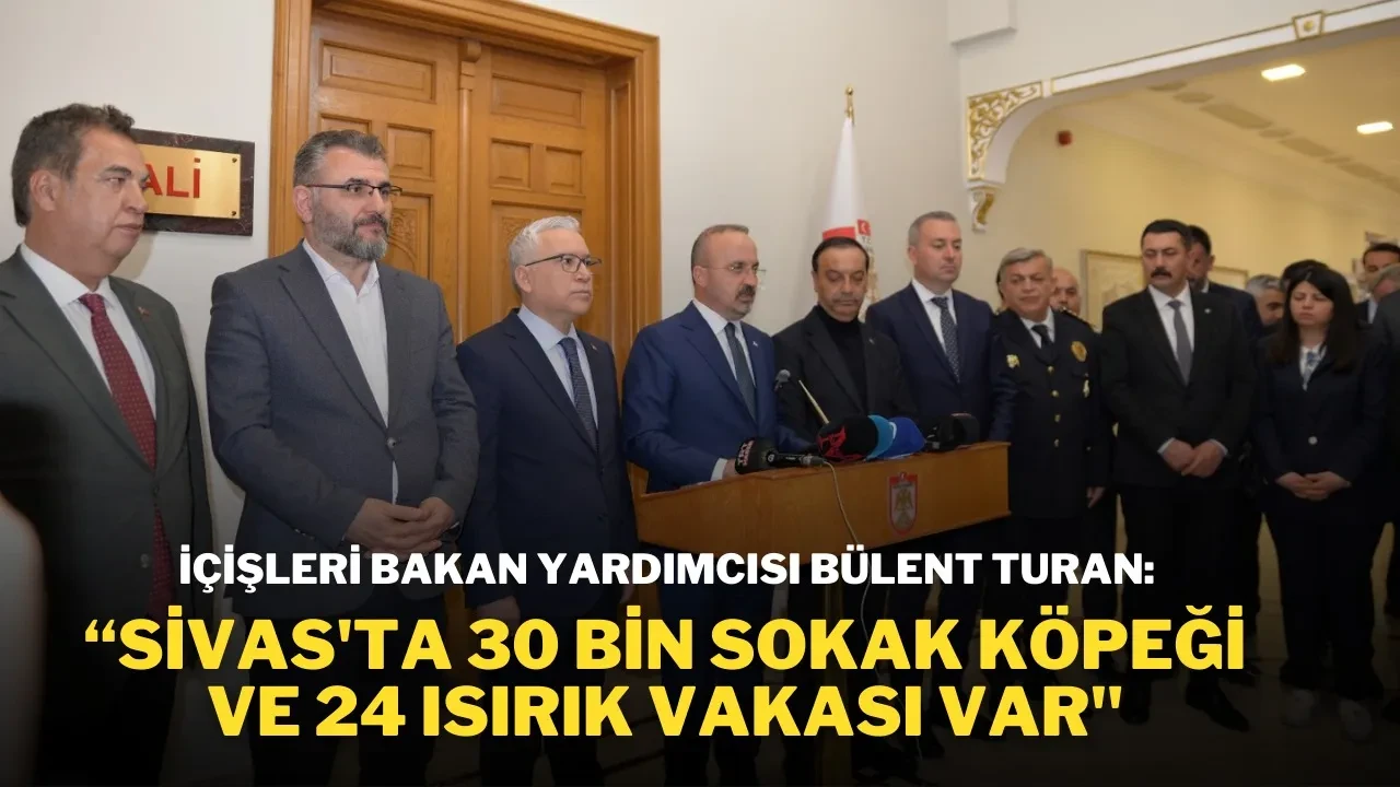 İçişleri Bakan Yardımcısı Bülent Turan: ''Sivas'ta 30 Bin Sokak Köpeği Ve 24 Isırık Vakası Var''