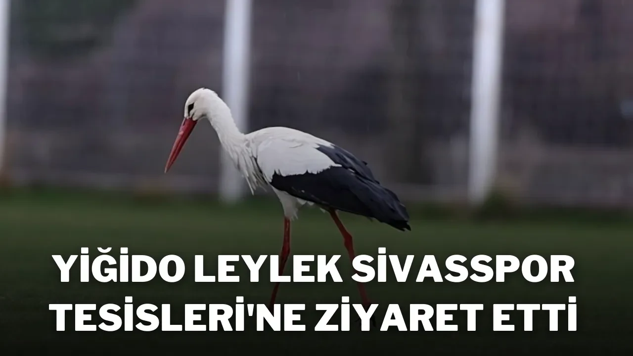Yiğido Leylek, Sivasspor Tesisleri'ne Ziyaret Etti