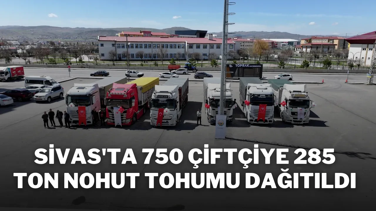 Sivas'ta 750 Çiftçiye 285 Ton Nohut Tohumu Dağıtıldı
