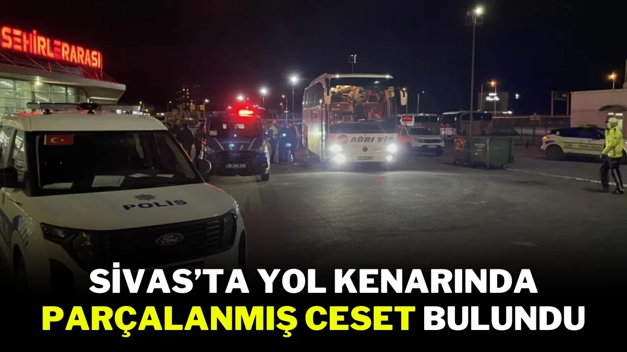 Sivas’ta Yol Kenarında Parçalanmış Ceset Bulundu