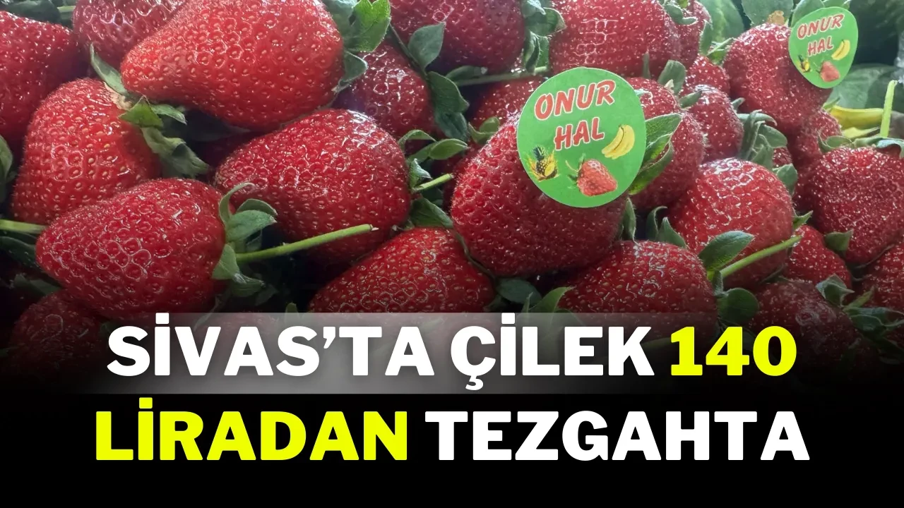 Sivas’ta Çilek 140 Liradan Tezgahta