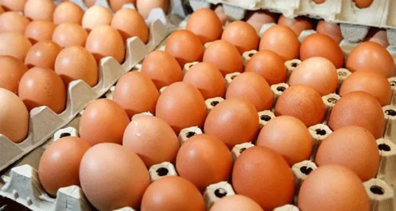Yumurtalar Raftan Kalkıyor! Sodyum Hipoklorit Tehlikesi! İşte Detaylar