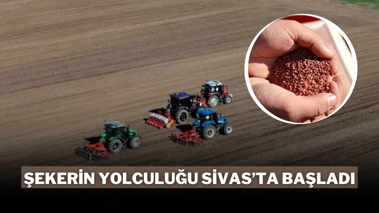 Şekerin Yolculuğu Sivas’ta Başladı