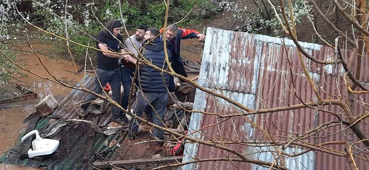 Sağanak Yağış Sel Felaketi Getirdi: 35 Küçükbaş ve 3 Büyükbaş Hayvan Telef Oldu