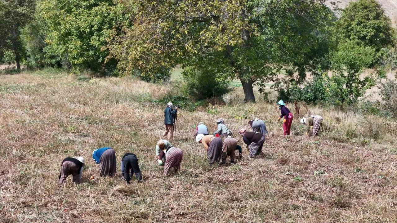 Çiftçilere 6,7 Milyar Lira Destekleme Ödemesi Yapılacak