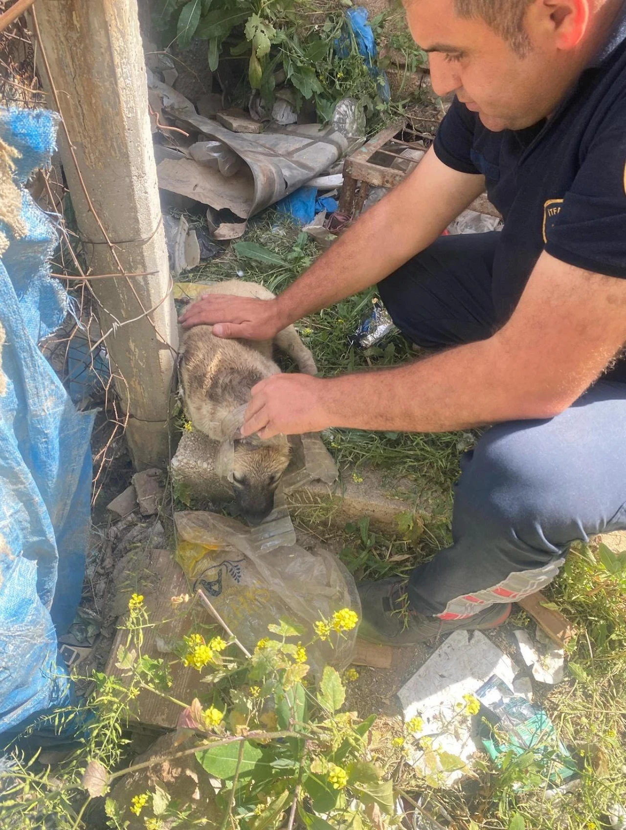 Kafasına Bidon Sıkışan Köpek Kurtarıldı