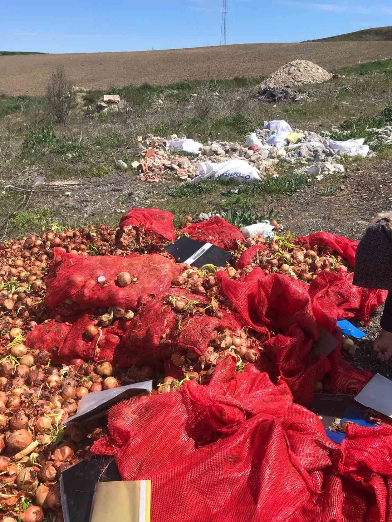 Yol Kenarına Dökülen Çuvallar Dolusu Soğan Tepki Çekti
