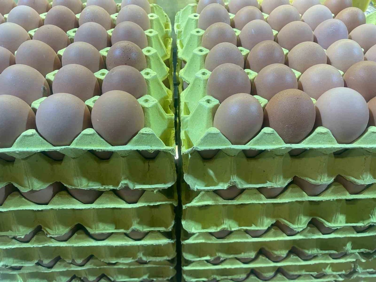 Yumurtada Fiyatlar Düşüyor