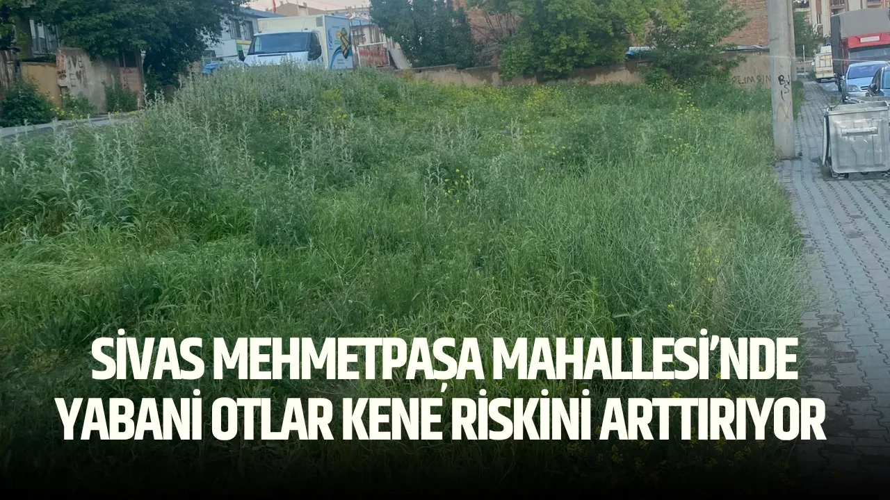 Sivas Mehmetpaşa Mahallesi’nde Yabani Otlar Kene Riskini Arttırıyor