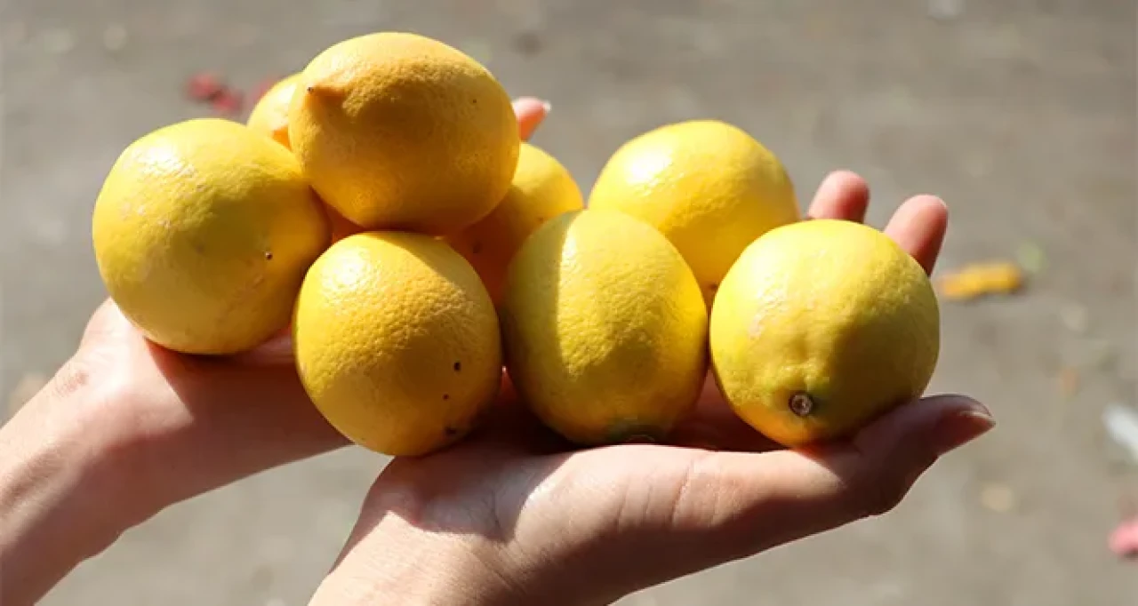 Limon Fiyatı Nisan’da Yüzde 44 Arttı