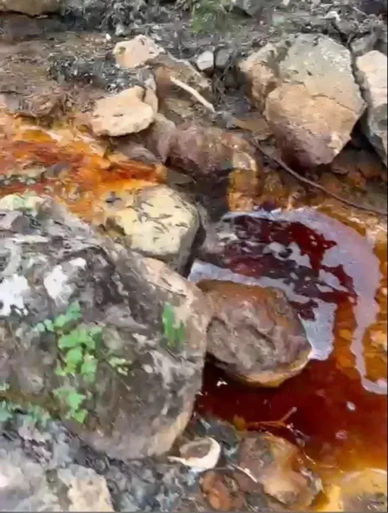Sivas'ta Kırmızı Akan Dere Panik Yarattı! Gerçek Ortaya Çıktı