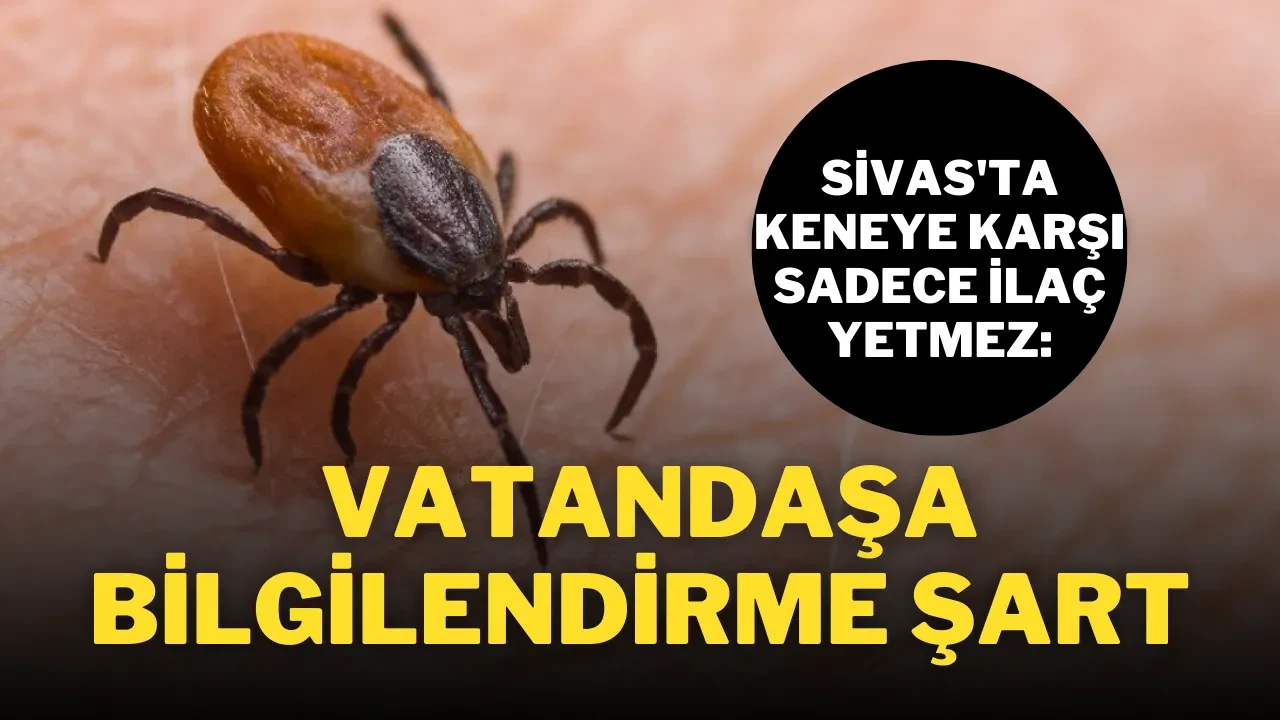 Sivas'ta Keneye Karşı Sadece İlaç Yetmez: Vatandaşa Bilgilendirme Şart