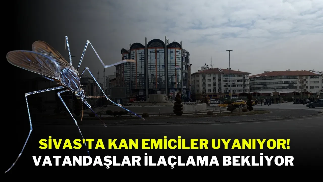 Sivas'ta Kan Emiciler Uyanıyor! Vatandaşlar İlaçlama Bekliyor