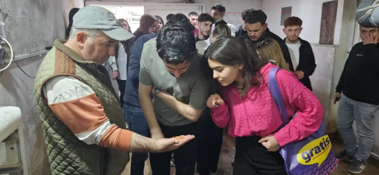 Sivas Cumhuriyet Üniversitesi Öğrencileri Alabalık Üretim Çiftliği'nde Mesleki Eğitim Aldı