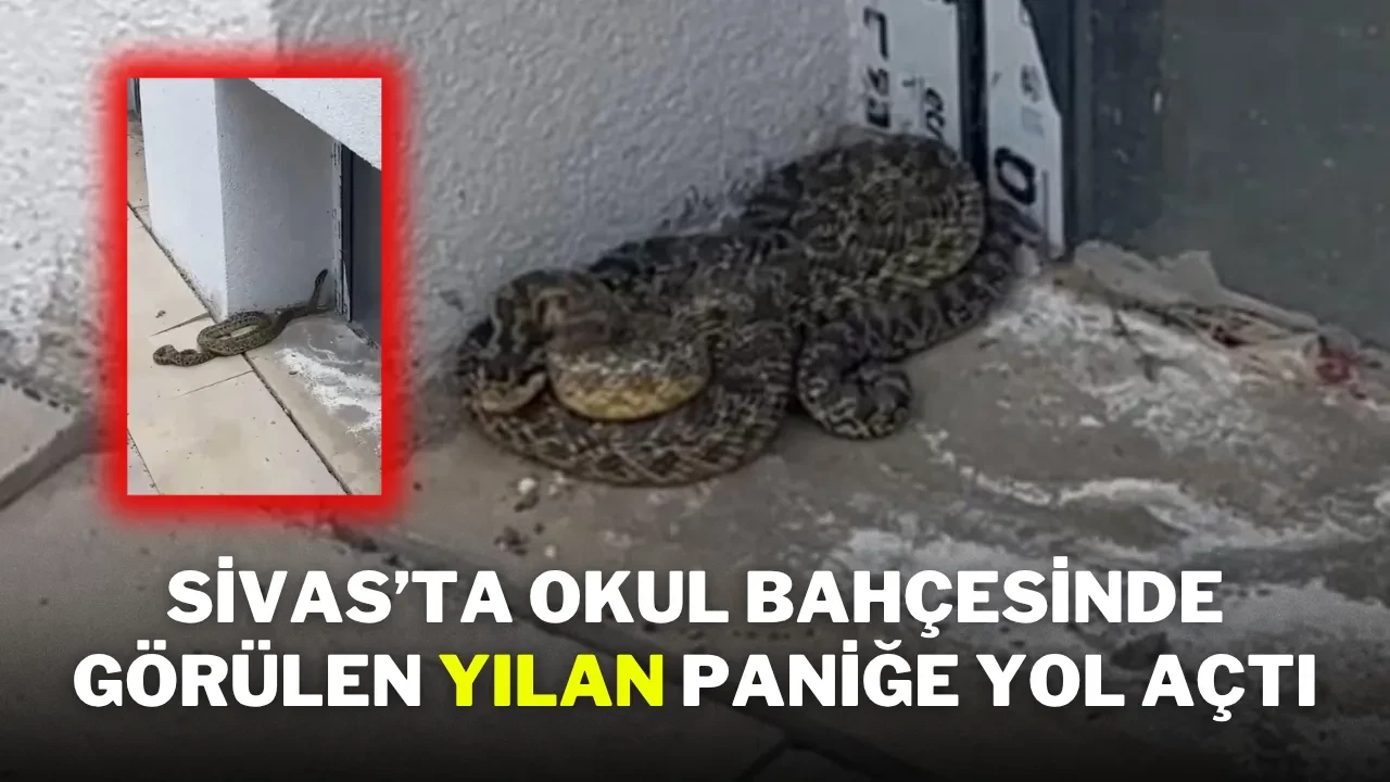 Sivas’ta Okul Bahçesinde Görülen Yılan Paniğe Yol Açtı